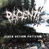 Placenta - Fixed Action Patterns