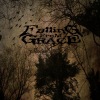 Falling From Grace - Shadows Of The Past