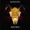 Sanguine - Black Sheep 